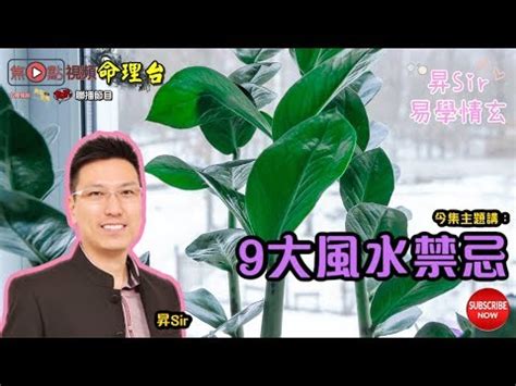 水種植物風水|【水種植物風水】水種植物風水指南：招財、旺運、提。